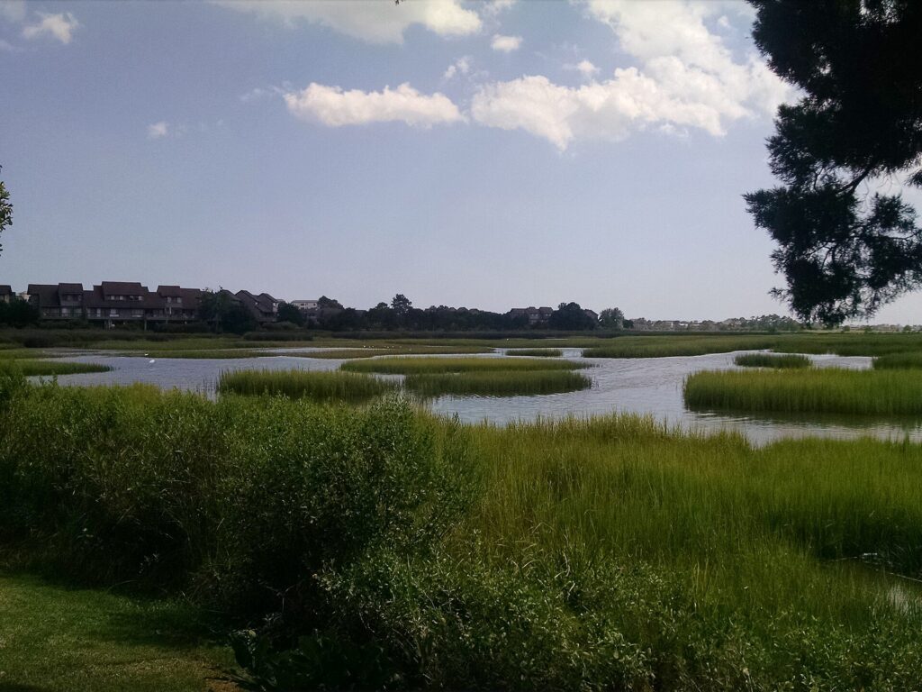 Litchfield Beach, SC